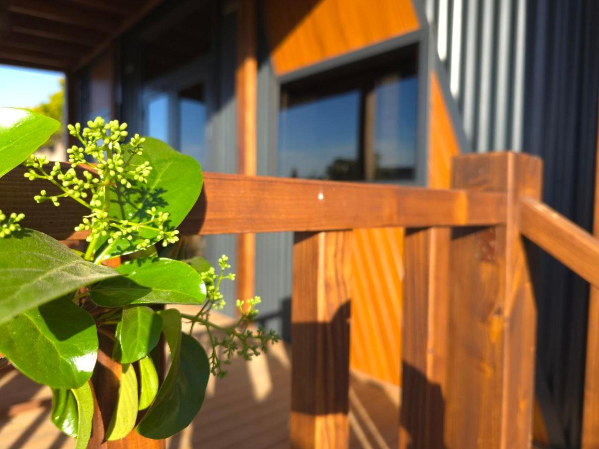 Natural Garden Tiny House Yalikavak 빌라 외부 사진